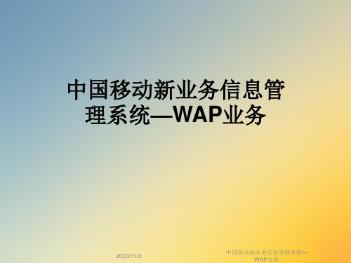 中国移动新业务信息管理系统—WAP业务
