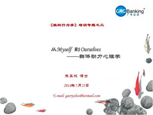 组织行为学专题3：群体动力心理学20140720