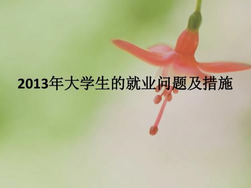2013年大学生的就业问题及措施 -