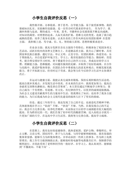 小学生自我评价反思
