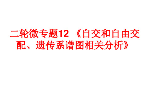 高三生物-自交和自由交配、遗传系谱图相关分析 (1)