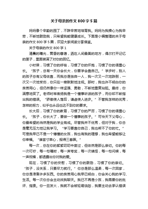 关于母亲的作文800字5篇