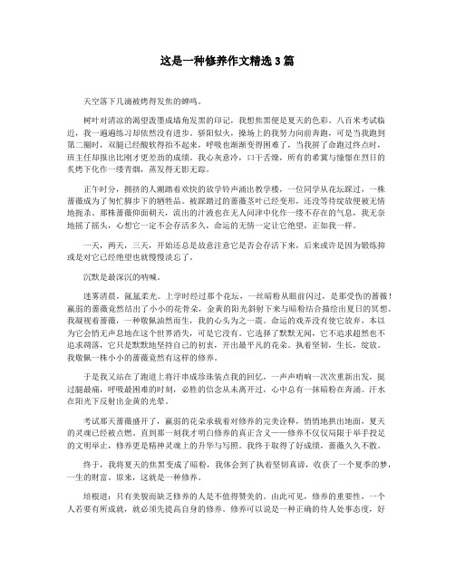这是一种修养作文精选3篇