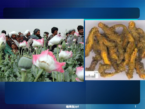 天然药物化学教学资料 天然药化9 生物碱