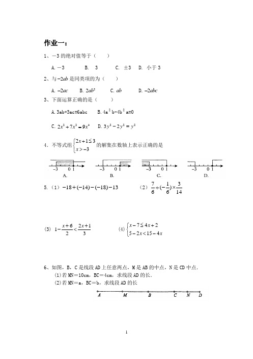 七年级数学期末复习作业 (每日一练)