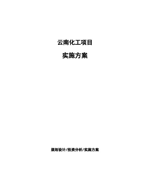 云南化工项目实施方案