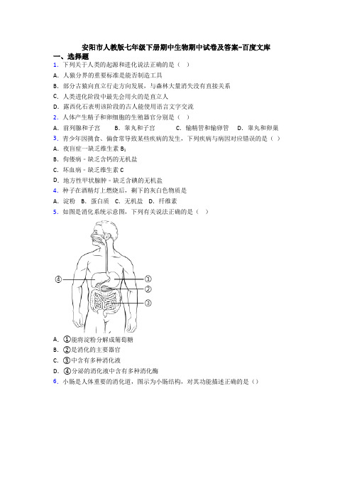 安阳市人教版七年级下册期中生物期中试卷及答案-百度文库