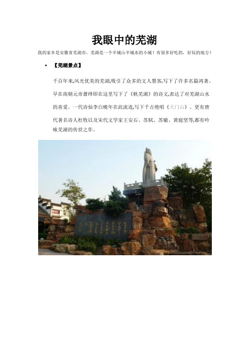 我眼中的芜湖