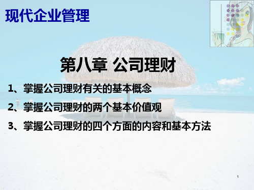 第8章公司理财(1)