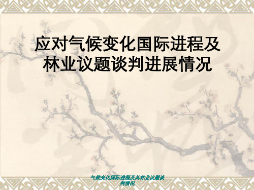 气候变化国际进程及其林业议题谈判情况
