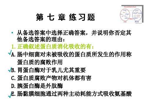 生物化学基础第07章 氨基酸与核苷酸代谢习题