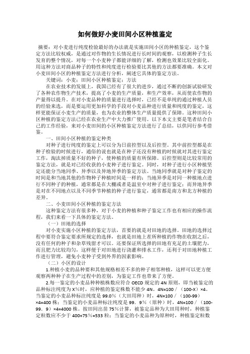 如何做好小麦田间小区种植鉴定