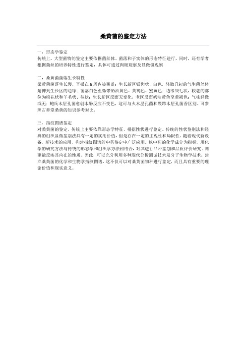 桑黄菌的鉴别方法
