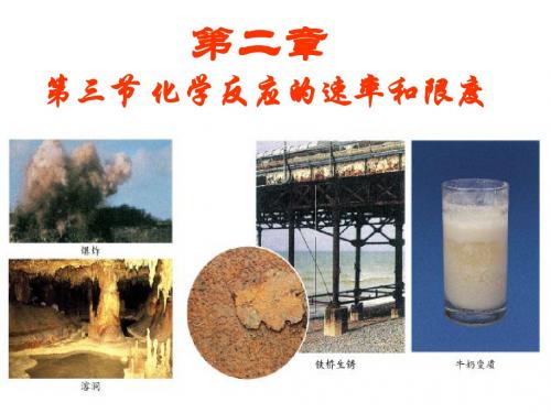 化学反应的速率与限度