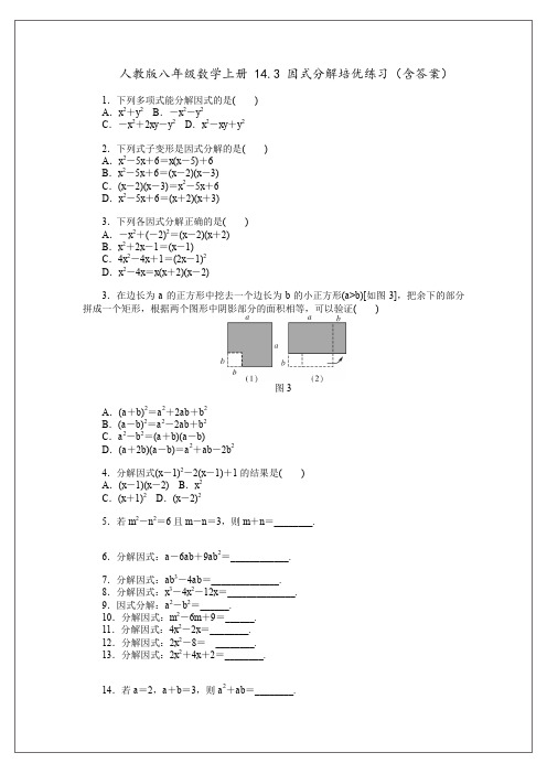 人教版八年级数学上册 14.3 因式分解培优练习(含答案)