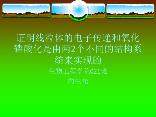 证明线粒体的电子传递和氧化磷酸化是由两2个不同的结构.