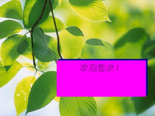 没有细胞结构的微小生物——病毒PPT课件4