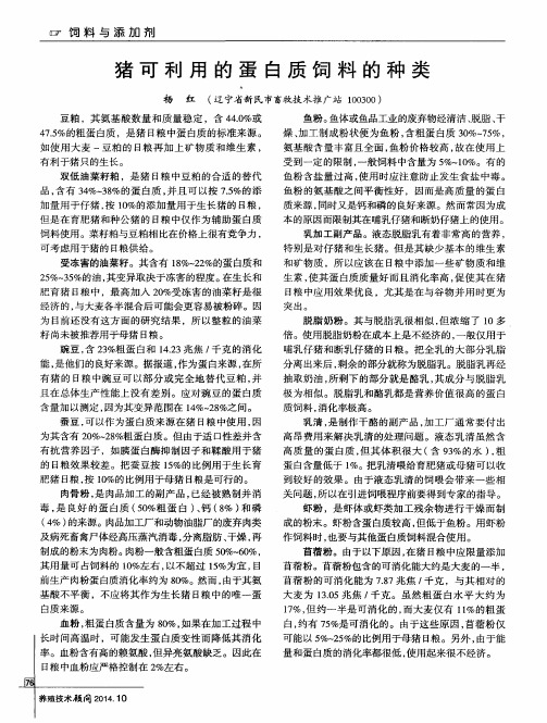 猪可利用的蛋白质饲料的种类