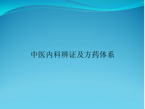 中医内科辨证及方药体系