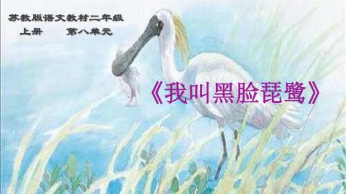 苏教版小学二年级语文上册第21课《我叫黑脸琵鹭》课件