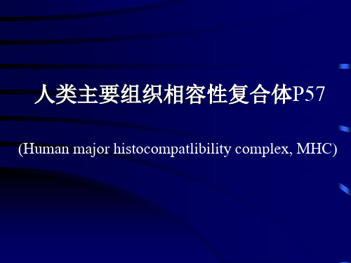 3人类主要组织相容性复合体(复习题).