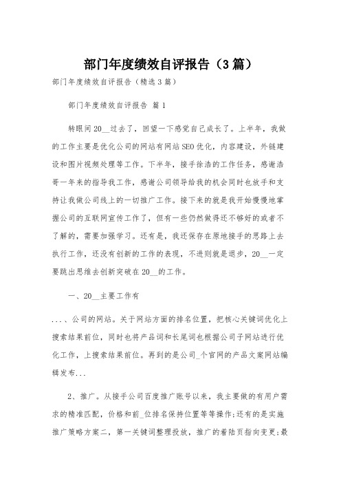 部门年度绩效自评报告(3篇)