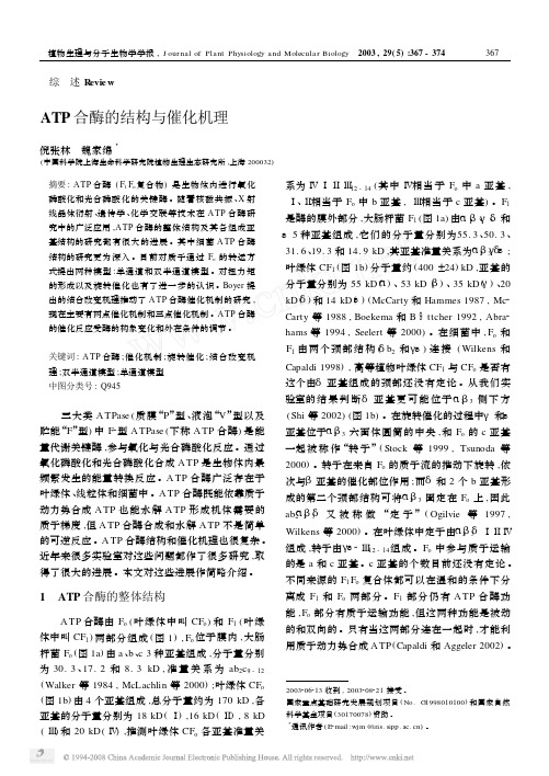 ATP合酶的结构与催化机理[1]