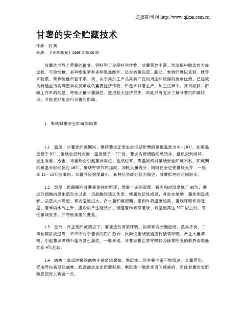 甘薯的安全贮藏技术