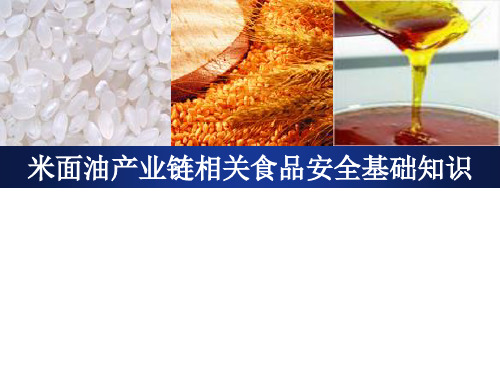 《食品安全基础知识》PPT课件