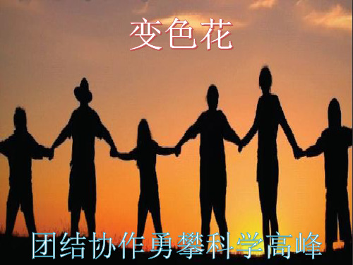 《变色花》PPT苏教版小学科学1