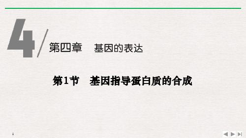 《基因指导蛋白质的合成》基因的表达 图文