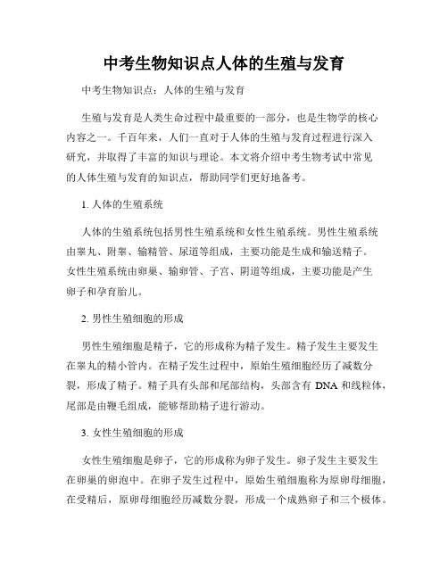 中考生物知识点人体的生殖与发育
