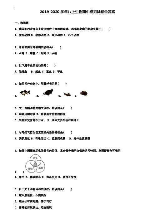 【10套试卷合集】山东省菏泽定陶区五校联考2019-2020学年生物八上期中模拟试卷含答案