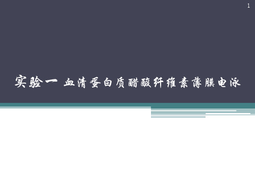 血清蛋白质醋酸纤维素薄膜电泳ppt课件