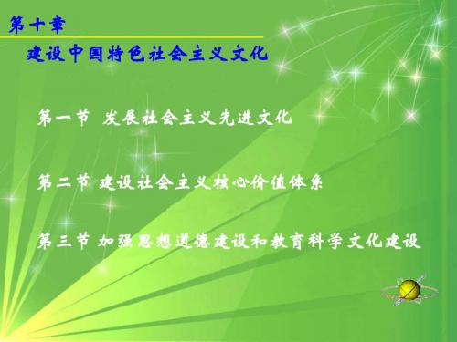 [哲学]发展社会主义先进文化