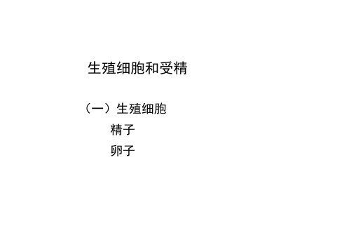 胚胎学 生殖细胞和受精