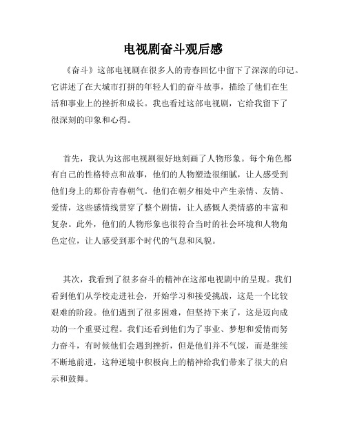 电视剧奋斗观后感