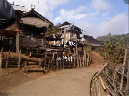 五十六个民族哈尼族