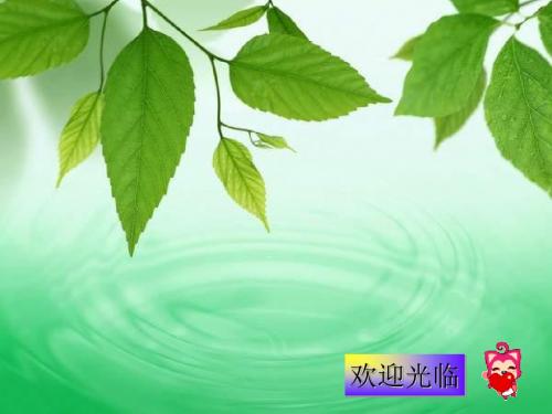 辉煌的隋唐文化(一)ppt11