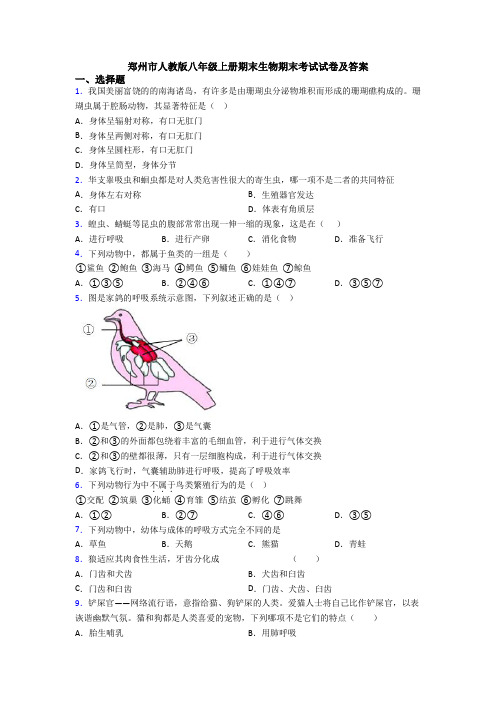 郑州市人教版八年级上册期末生物期末考试试卷及答案