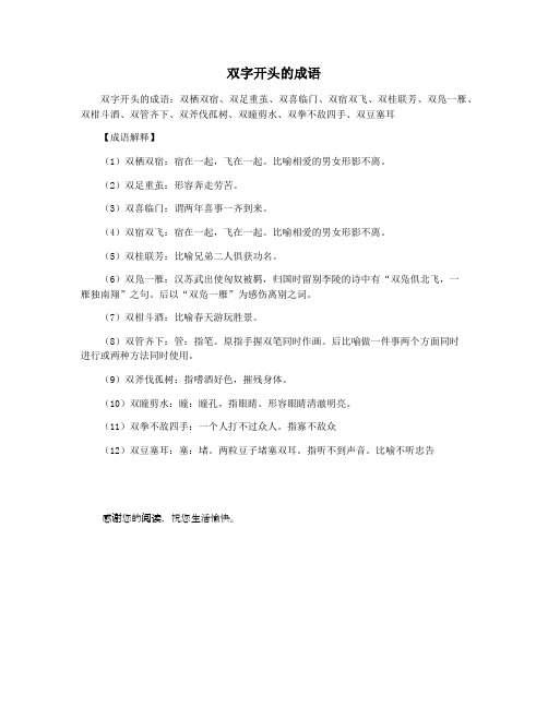 双字开头的成语