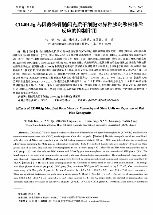 CD40LIg基因修饰骨髓间充质干细胞对异种胰岛移植排斥反应的抑制作用