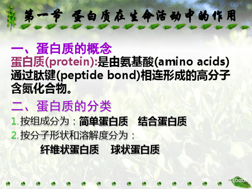 生物化学蛋白质上PPT课件(模板)