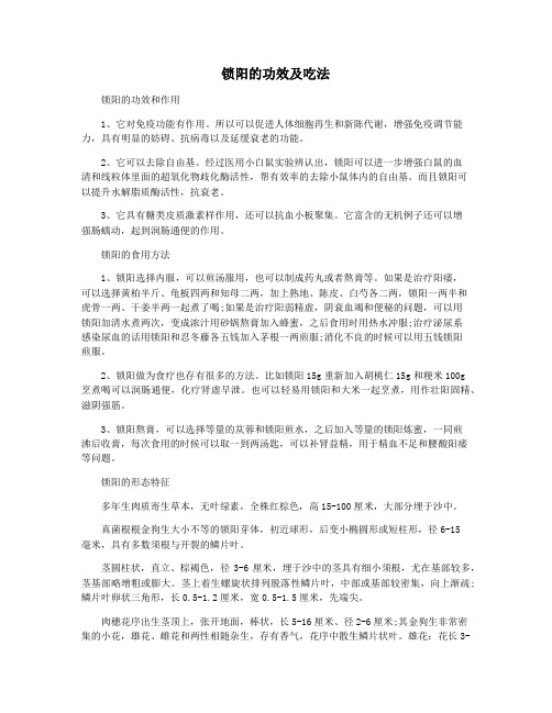 锁阳的功效及吃法