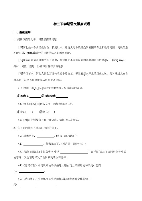 河北省九地市初三下学期语文摸底试卷附解析