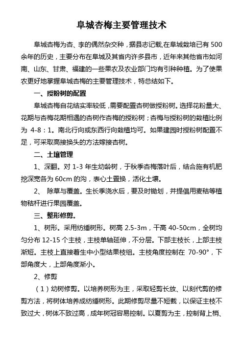 杏梅主要管理技术
