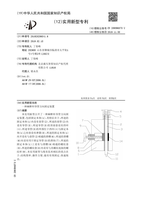【CN209596378U】一种麻醉科导管方向固定装置【专利】