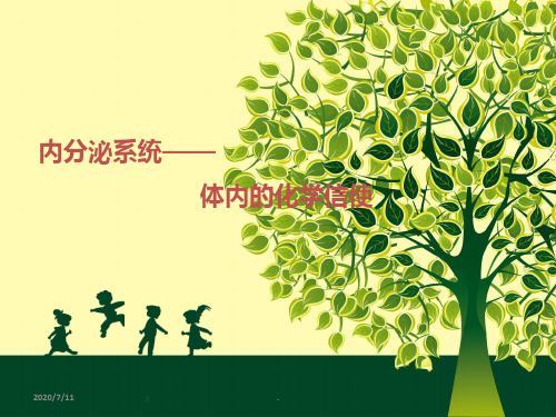 学前儿童卫生与保育 第六节  内分泌系统ppt课件