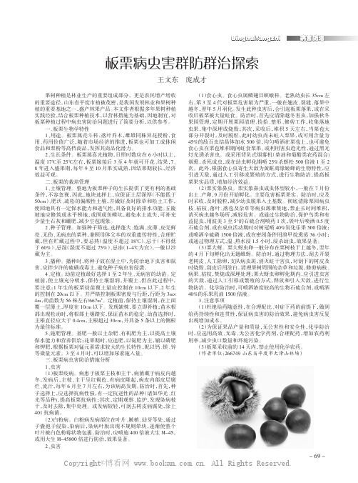 板栗病虫害群防群治探索
