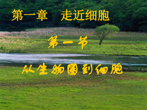 从生物圈到细胞PPT课件